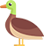 duck!!